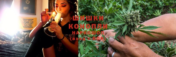 шишки Абинск