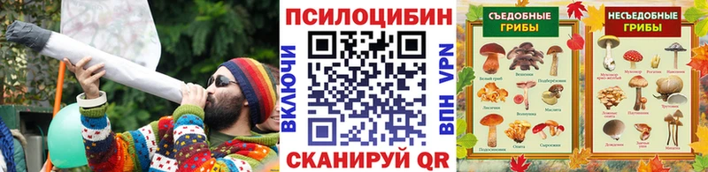 мега как зайти  Алагир  Псилоцибиновые грибы Cubensis 